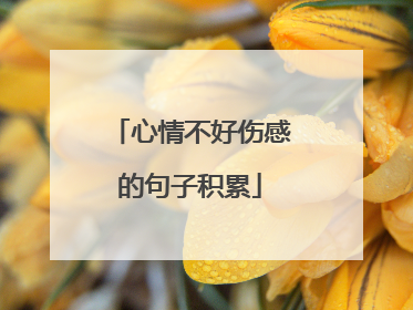 心情不好伤感的句子积累