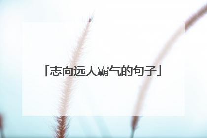 志向远大霸气的句子