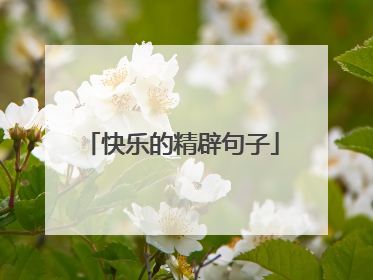 快乐的精辟句子