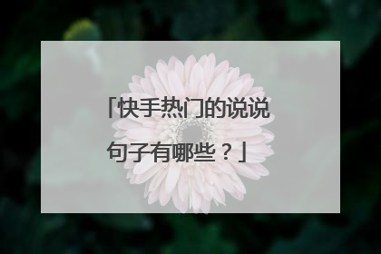 快手热门的说说句子有哪些?