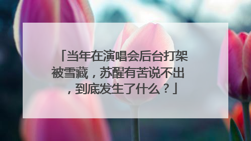 当年在演唱会后台打架被雪藏，苏醒有苦说不出，到底发生了什么？