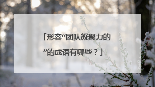 形容“团队凝聚力的”的成语有哪些?