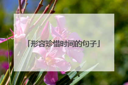 形容珍惜时间的句子