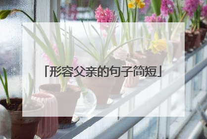 形容父亲的句子简短
