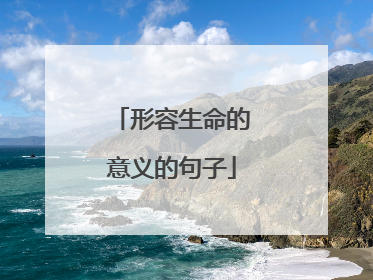 形容生命的意义的句子