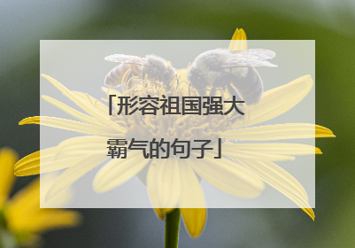 形容祖国强大霸气的句子