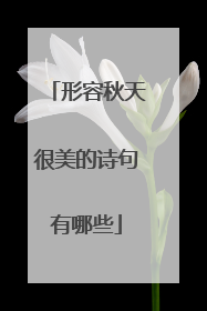 形容秋天很美的诗句有哪些