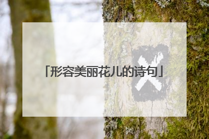 形容美丽花儿的诗句