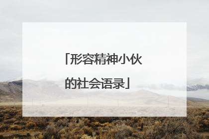 形容精神小伙的社会语录