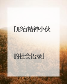 形容精神小伙的社会语录
