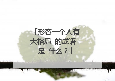 形容一个人有大格局 的成语 是 什么?
