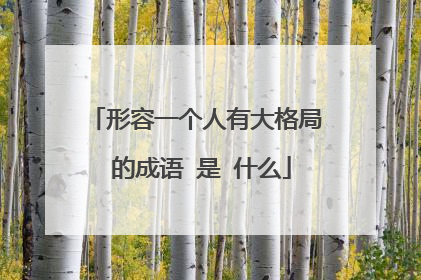 形容一个人有大格局 的成语 是 什么