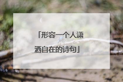 形容一个人潇洒自在的诗句