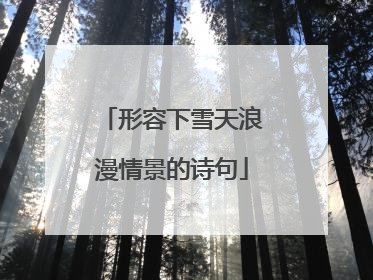 形容下雪天浪漫情景的诗句