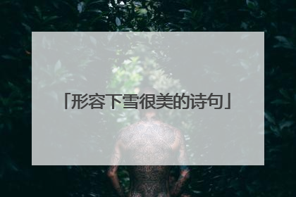 形容下雪很美的诗句