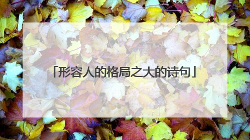 形容人的格局之大的诗句