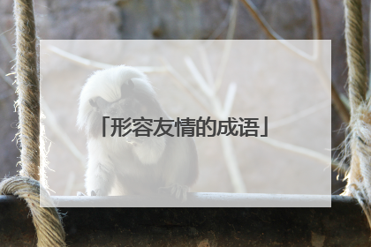形容友情的成语