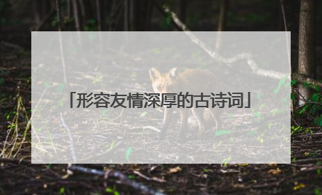 形容友情深厚的古诗词