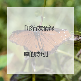 形容友情深厚的诗句