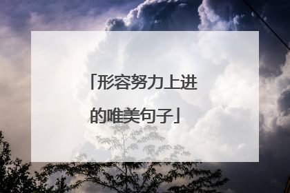形容努力上进的唯美句子