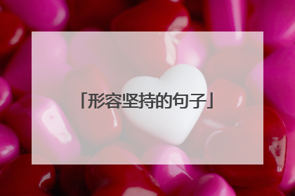 形容坚持的句子