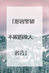 形容坚韧不拔的故人名言