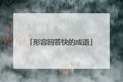 形容回答快的成语