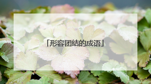 形容团结的成语