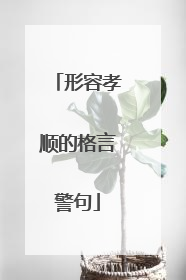 形容孝顺的格言警句