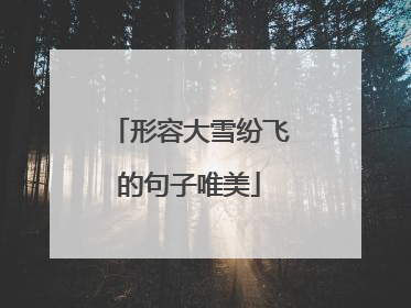 形容大雪纷飞的句子唯美