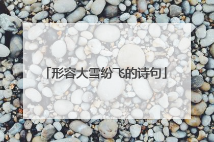形容大雪纷飞的诗句