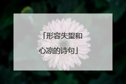 形容失望和心凉的诗句