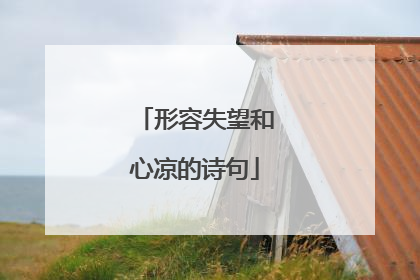 形容失望和心凉的诗句