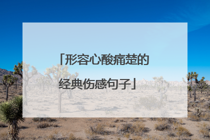 形容心酸痛楚的经典伤感句子