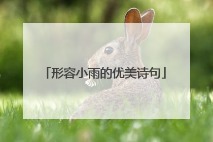 形容小雨的优美诗句