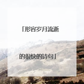 形容岁月流逝的很快的诗句
