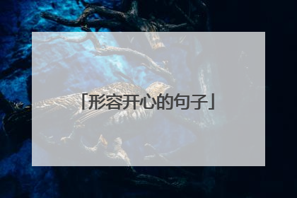 形容开心的句子