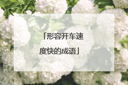 形容开车速度快的成语