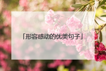 形容感动的优美句子