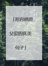 形容感恩父爱的优美句子