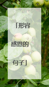 形容感恩的句子
