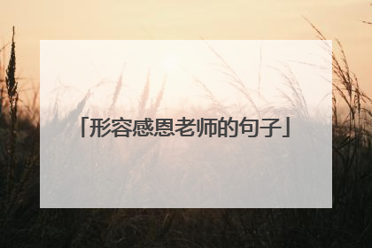 形容感恩老师的句子