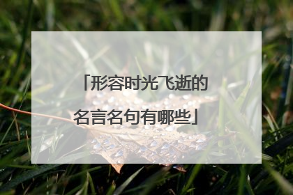 形容时光飞逝的名言名句有哪些