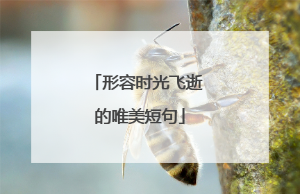 形容时光飞逝的唯美短句