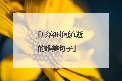 形容时间流逝的唯美句子