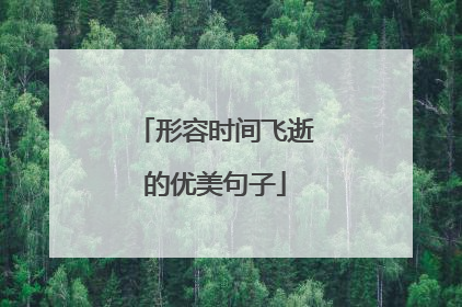 形容时间飞逝的优美句子