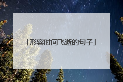 形容时间飞逝的句子