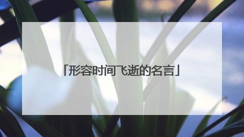 形容时间飞逝的名言