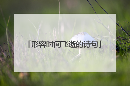形容时间飞逝的诗句