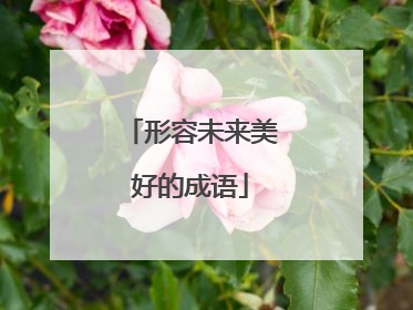 形容未来美好的成语